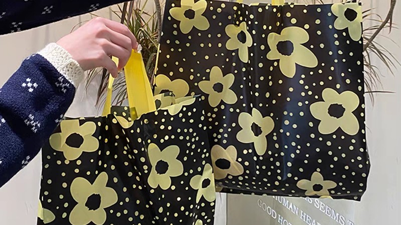 Visão Racional: A Verdade “Verde” das Bolsas Ecológicas